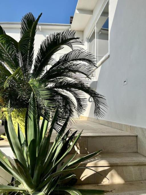 Naples In The History 4M Bed & Breakfast エクステリア 写真